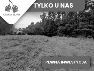 Zdjęcie 15243031
