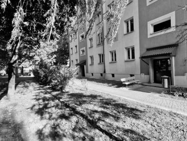 Zdjęcie 15243165