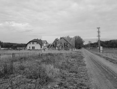 Zdjęcie 15243697