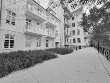 Zdjęcie 15244163