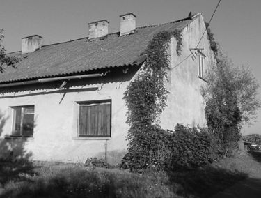 Zdjęcie 15244370