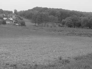 Zdjęcie 15244454