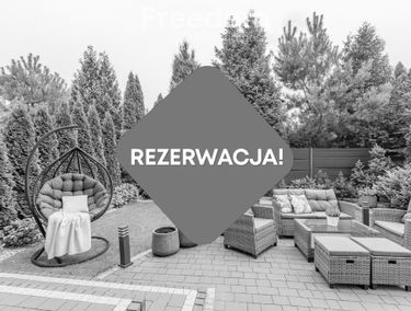 Zdjęcie 15244925