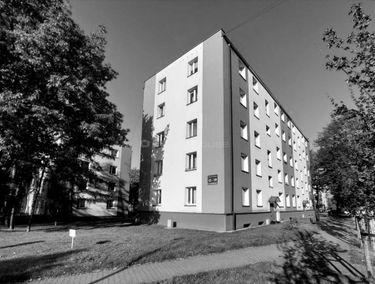 Zdjęcie 15244962