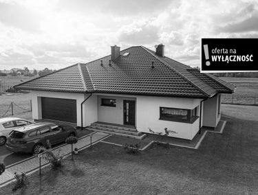 Zdjęcie 15246599