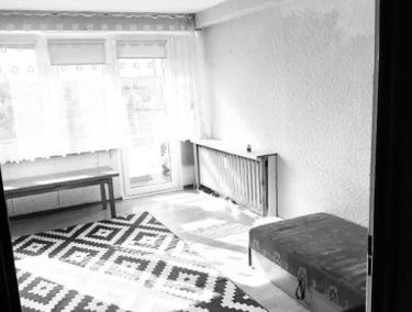 Zdjęcie 15247702