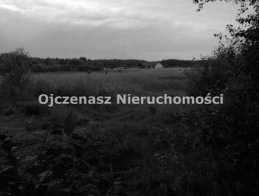 Zdjęcie 15248491
