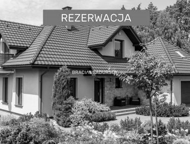 Zdjęcie 15248743