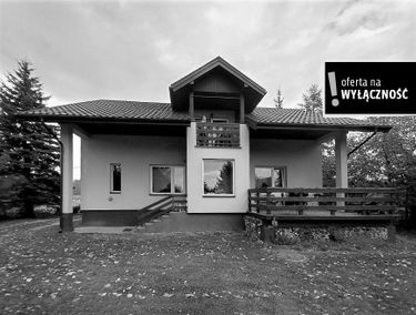 Zdjęcie 15248840