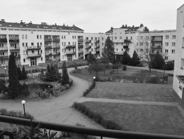 Zdjęcie 15178888