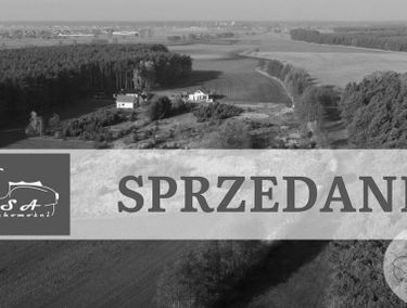 Zdjęcie 15249183
