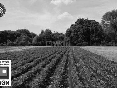 Zdjęcie 15249197