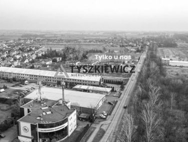 Zdjęcie 15249355