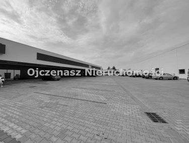Zdjęcie 15249666