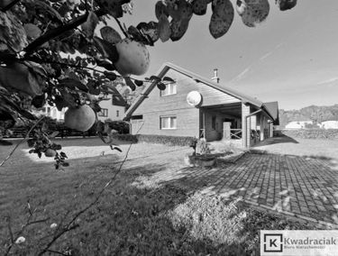 Zdjęcie 15250131