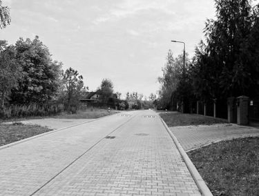 Zdjęcie 15250817