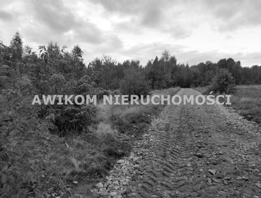 Zdjęcie 15251025