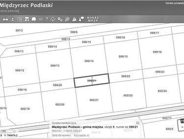 Zdjęcie 15251315