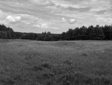 Zdjęcie 15251742