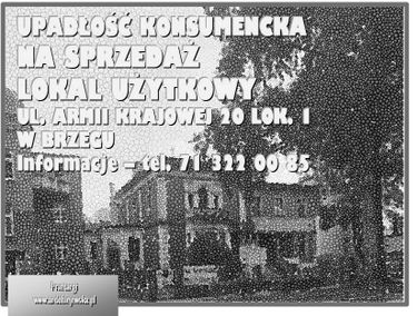 Zdjęcie 15252044