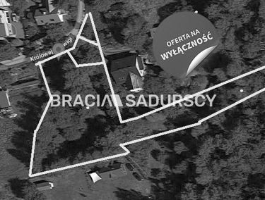 Zdjęcie 15252859