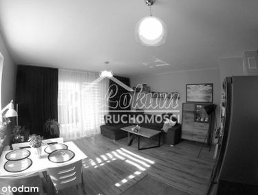 Zdjęcie 15253606