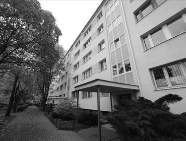 Zdjęcie 15253814