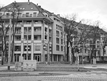 Zdjęcie 15254012