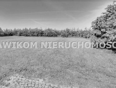 Zdjęcie 15254411