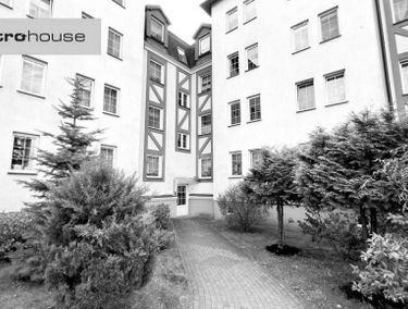 Zdjęcie 15254749