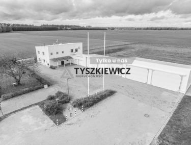 Zdjęcie 15255345