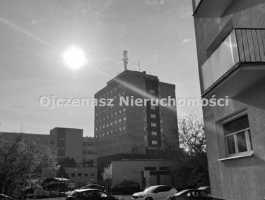 Zdjęcie 15255465