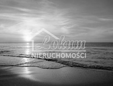 Zdjęcie 15256249