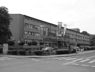 Zdjęcie 15256279