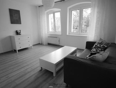 Zdjęcie 15256840