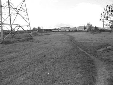 Zdjęcie 15257904