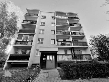 Zdjęcie 15257977