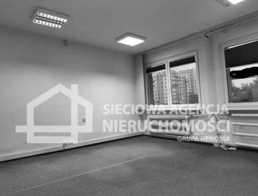 Zdjęcie 15258054