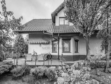 Zdjęcie 15258059
