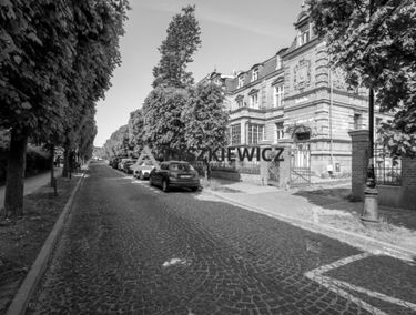 Zdjęcie 15258338