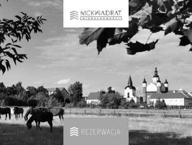 Zdjęcie 15258759