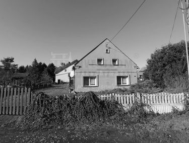 Zdjęcie 15258992