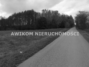Zdjęcie 15259016