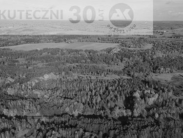 Zdjęcie 15259359
