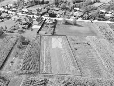 Zdjęcie 15259647