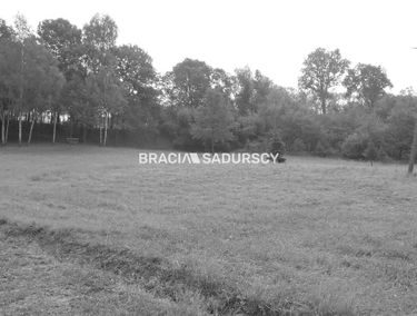 Zdjęcie 15260018