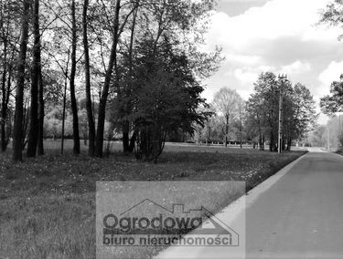 Zdjęcie 15260058