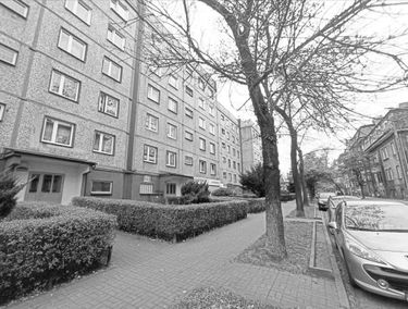 Zdjęcie 15262046