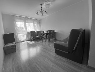 Zdjęcie 15262516