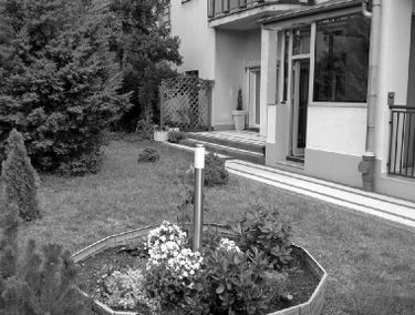 Zdjęcie 15262740